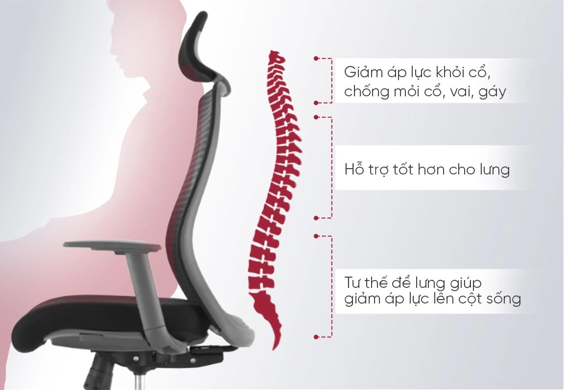 lưng ghế c&ocirc;ng th&aacute;i học erayf-1