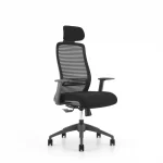 Ghế công thái học ERAYF-1