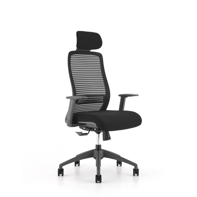 Ghế công thái học ERAYF-1