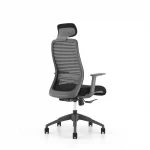 Ghế công thái học ERAYF-1