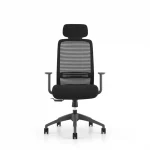 Ghế công thái học ERAYF-1