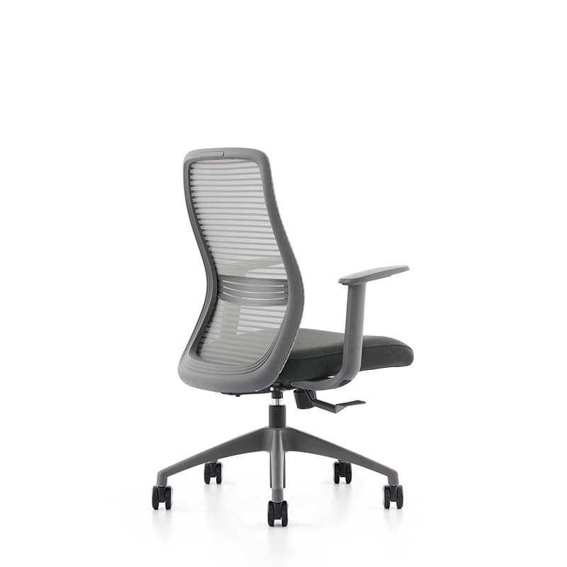 ghế công thái học màu xám nhạt erayf-2