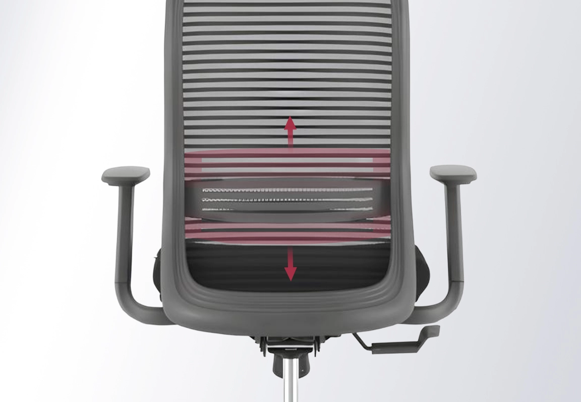 lumbar ghế c&ocirc;ng th&aacute;i học erayf-1