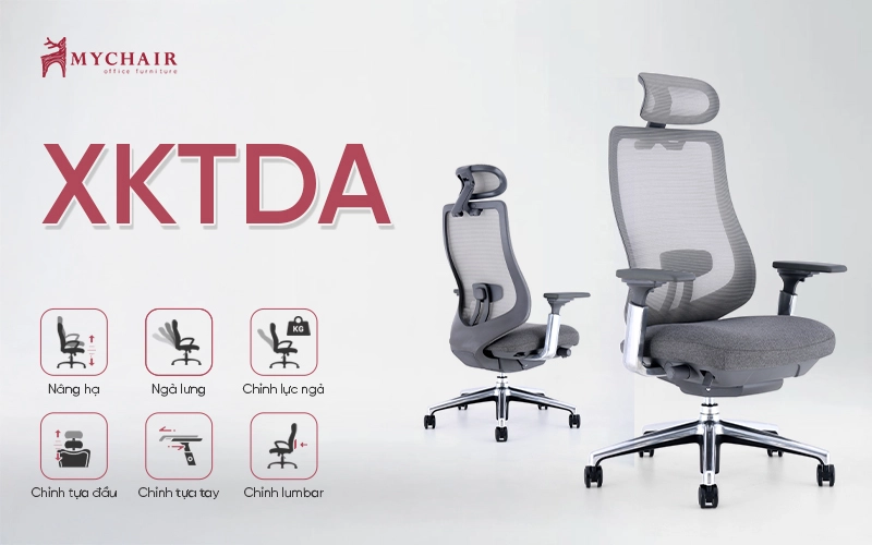 Ghế công thái học cao cấp XKTDA