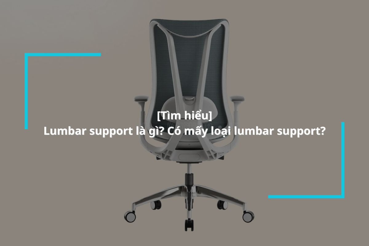 Tìm hiểu lumbar support là gì? Tầm quan trọng của lumbar support trong ghế công thái học