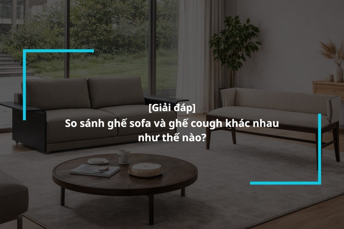 Ghế sofa và ghế cough có gì khác nhau?