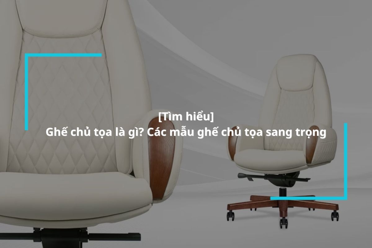 Ghế chủ tọa là gì? Các mẫu ghế chủ tọa sang trọng 2026