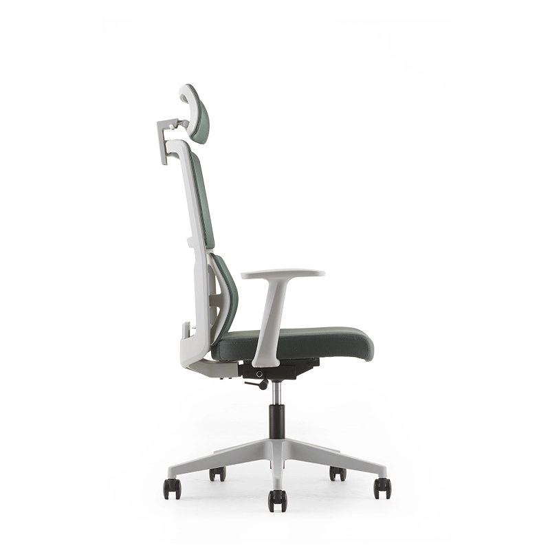 mua ghế công thái học KAFIT-AD