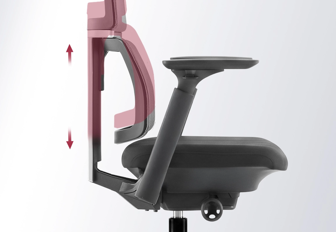 ghế c&ocirc;ng th&aacute;i học KANE-A