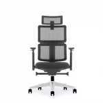 ghế lưới xoay văn phòng KANE-A