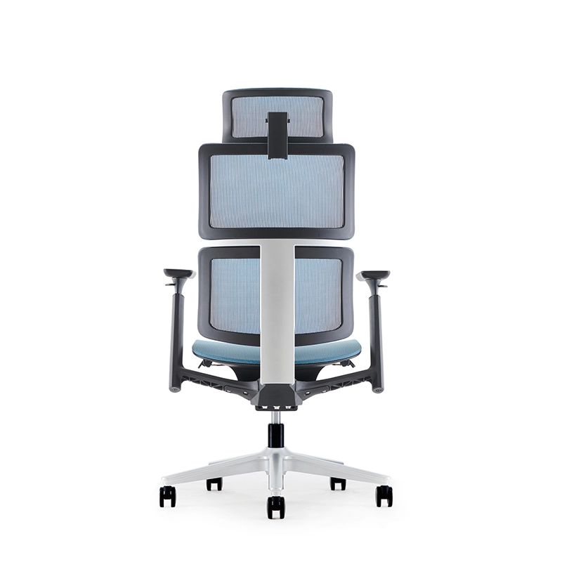 ghế xoay văn phòng lưng cao KANE-AQ