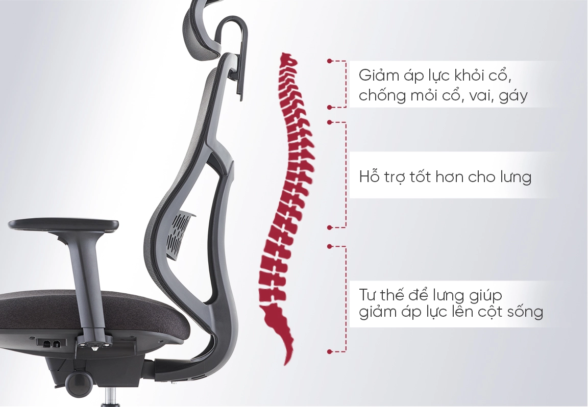 ghế c&ocirc;ng th&aacute;i học LYNX-A