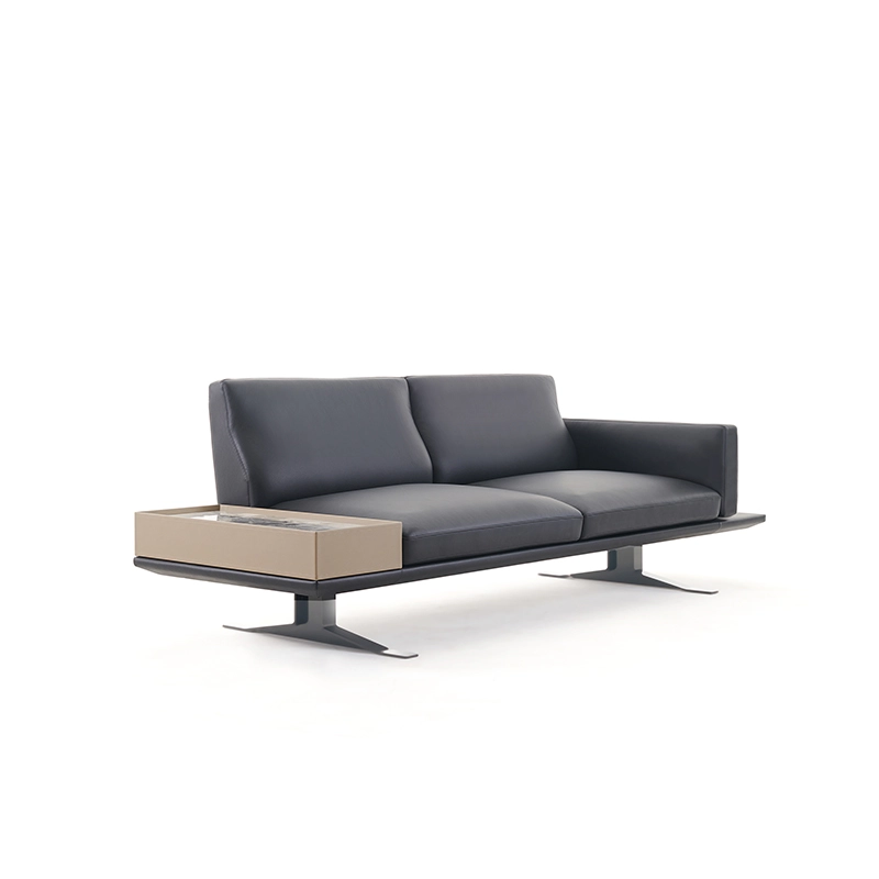 sofa nhập khẩu FU8064