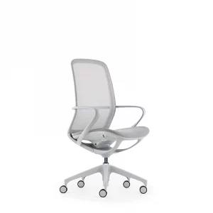 ghế làm việc ở nhà kay-b02 xám