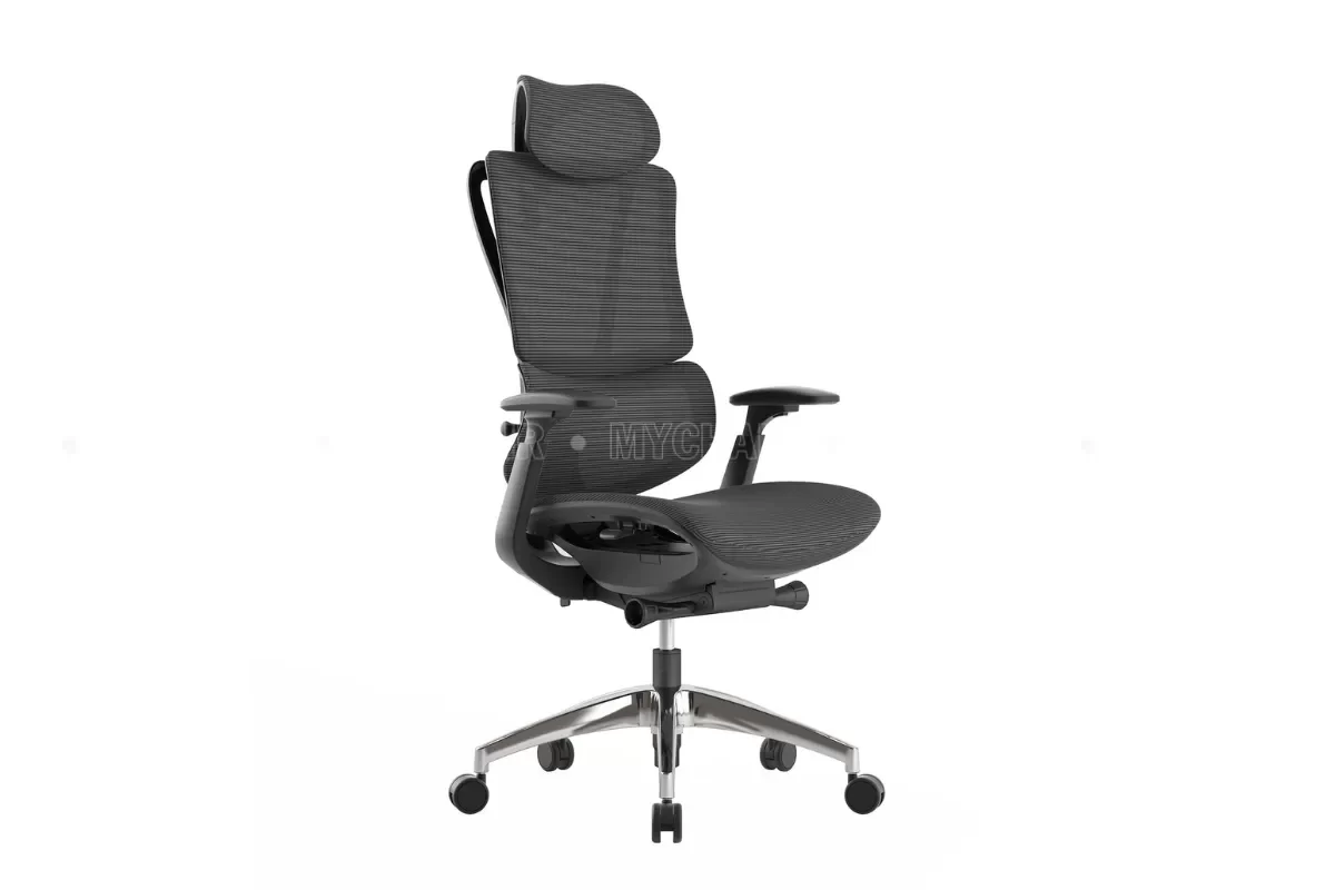 Ghế giám đốc chống mỏi chất lượng FM203AB