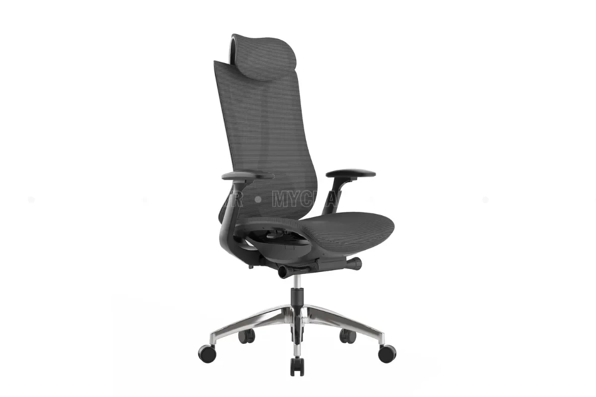 Ghế giám đốc chống mỏi FM202AB
